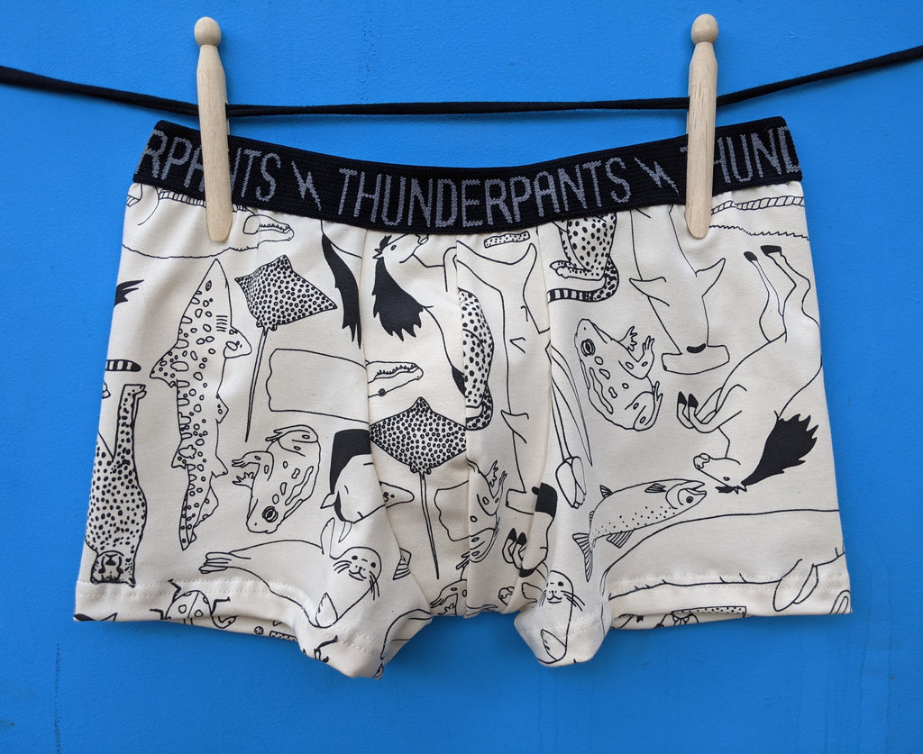 Boxer Lorien's Zoo - one XL left!